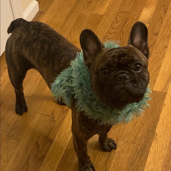 Meet your Posher, Megan - Picture 4 of 5